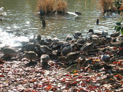 DSCN1083.jpg