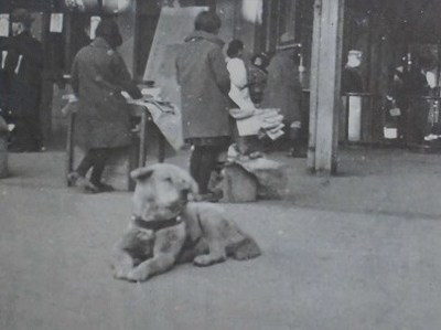 01512093.JPG